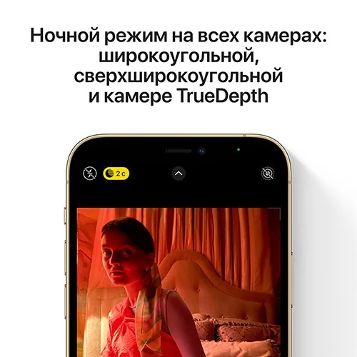 Смартфон Apple iPhone 12 Pro 256 ГБ Серебристый (РСТ) в Челябинске купить по недорогим ценам с доставкой