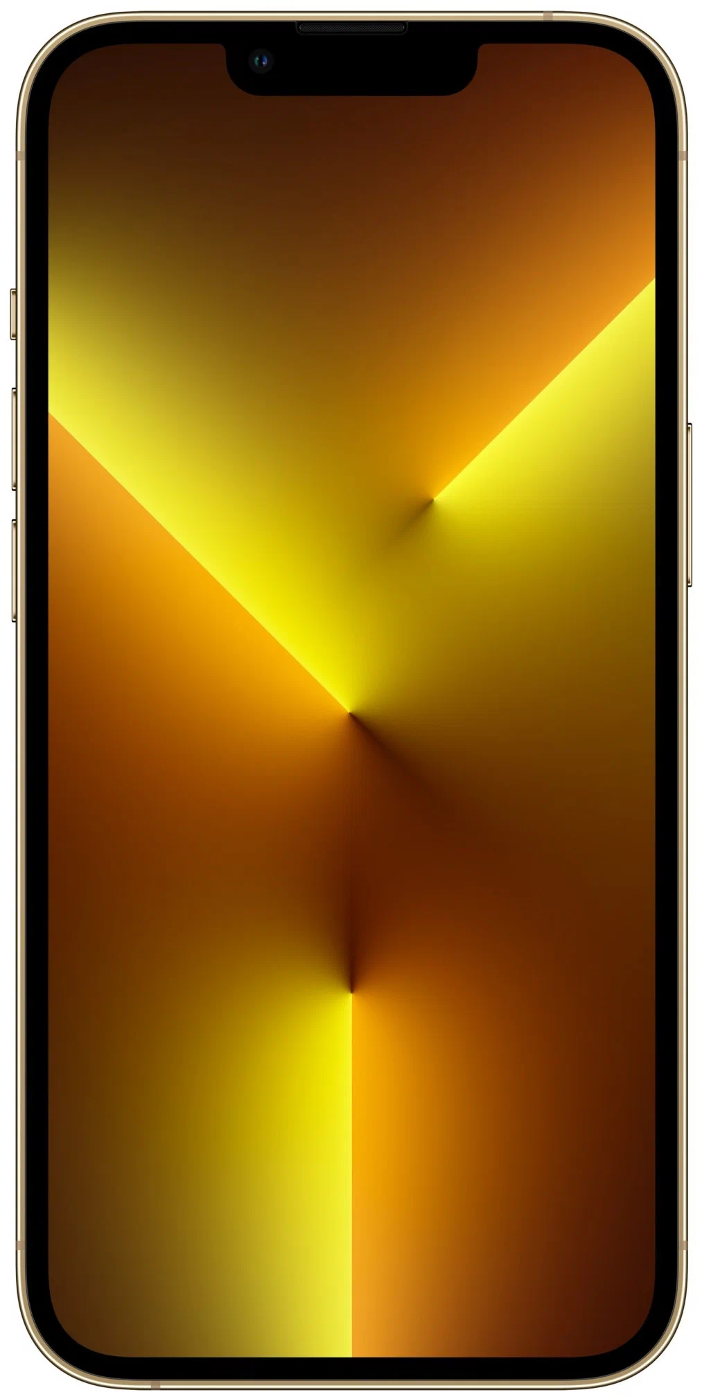 Смартфон Apple iPhone 13 Pro Max 1 ТБ Золотистый (EU) в Челябинске купить по недорогим ценам с доставкой